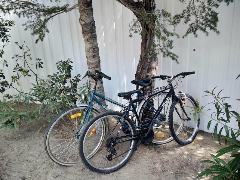Maison Jardin Wifi - Climatisation - 100 M Plage Sauvage - 20 Min Perpignan Torreilles Ngoại thất bức ảnh