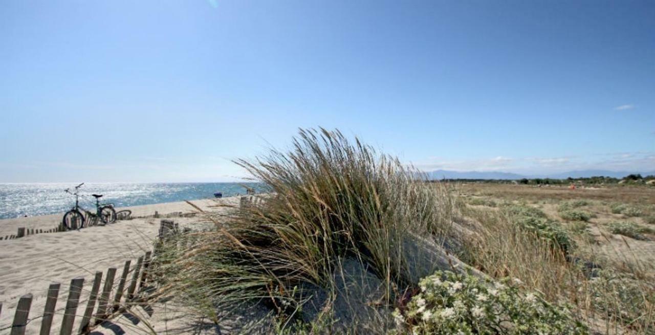 Maison Jardin Wifi - Climatisation - 100 M Plage Sauvage - 20 Min Perpignan Torreilles Ngoại thất bức ảnh